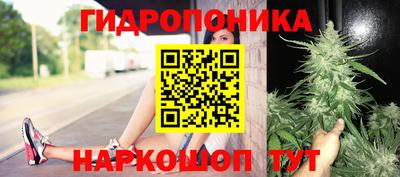 ALPHA-PVP Камышлов