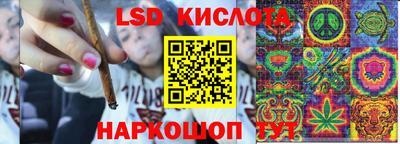 амф Кандалакша