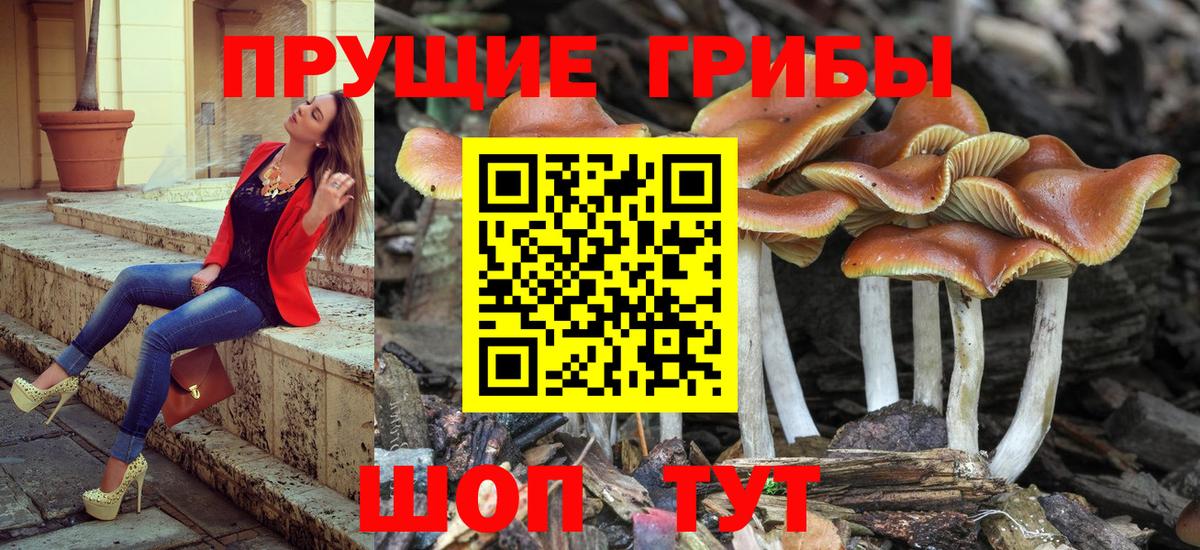 Псилоцибиновые грибы Magic Shrooms Ухта