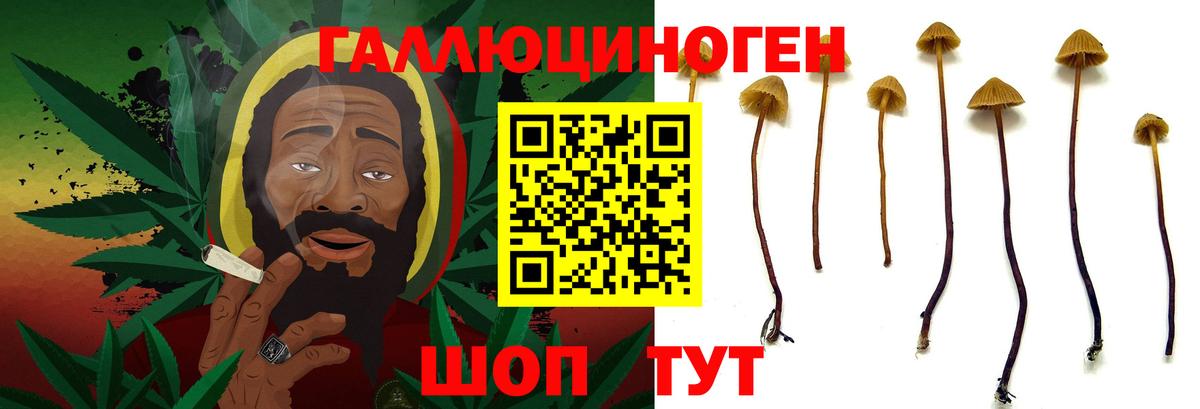 Ухта  Псилоцибиновые грибы мухоморы  наркота  Вход с VPN 